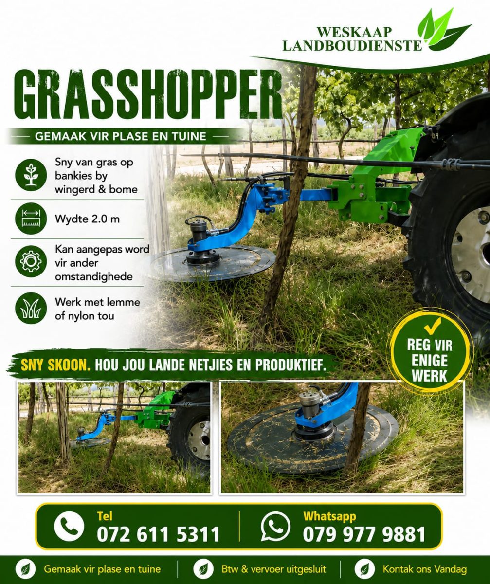GRASSHOPPER