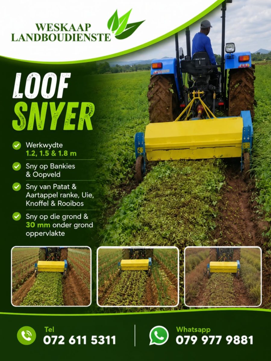 LOOF SNYER